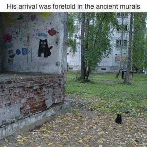 Meet your Posher, Tara